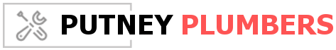 Plumbers Putney logo